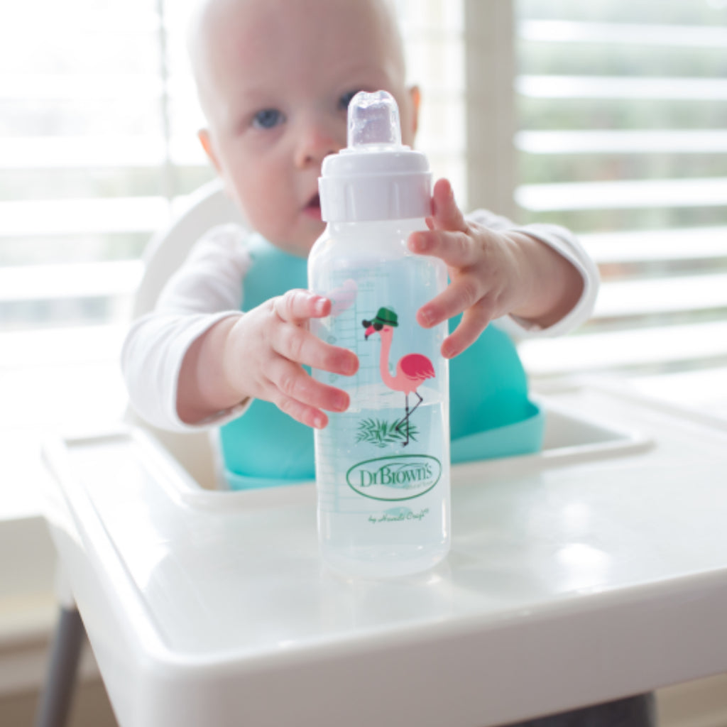 Dr. Brown's Options+ PP Narrow Sippy Spout 8oz/250ml Bottle, 1 Bottle