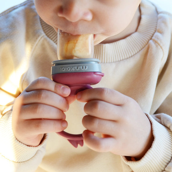 Minikoioi Pulps Silicone Fruit And Vegetable Feeder