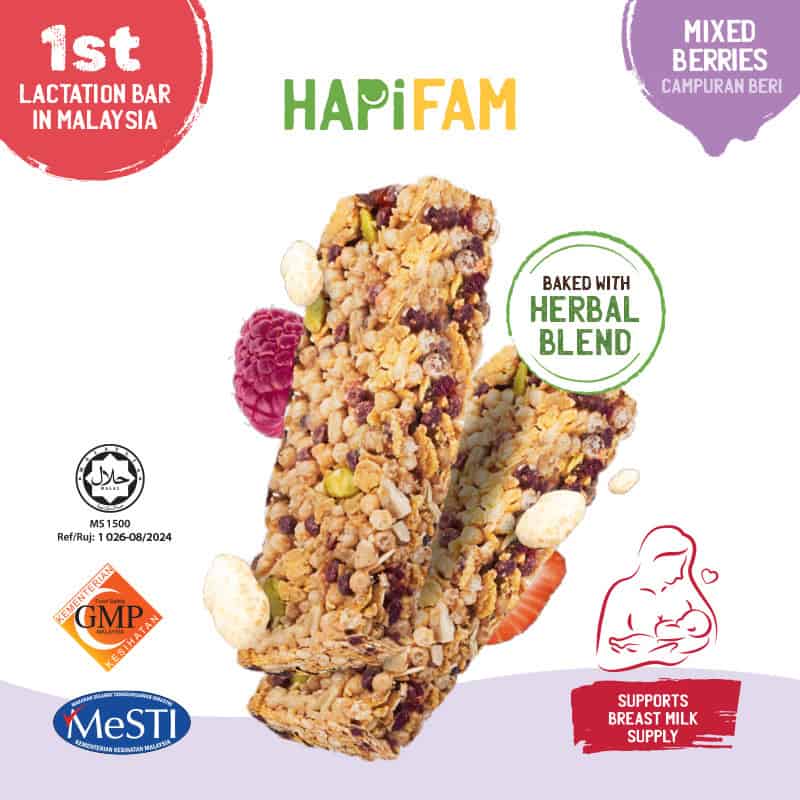 Hapi Moms Lactation Bar 150G (5S X 30G)