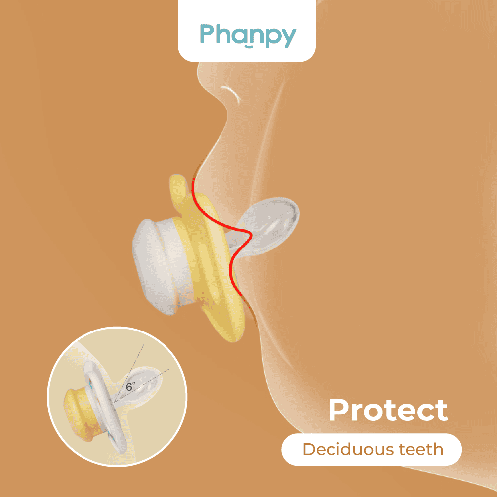 Phanpy Cute Baby Pacifier 2Pcs/Box 6 M+ Honey Pickup