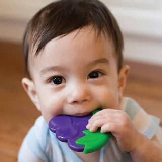 Dr. Brown's Soothing Baby Toddler Teether Coolees, Grape